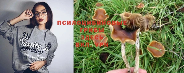 стаф Нягань