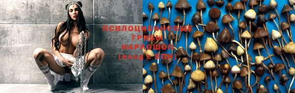 дмт Няндома