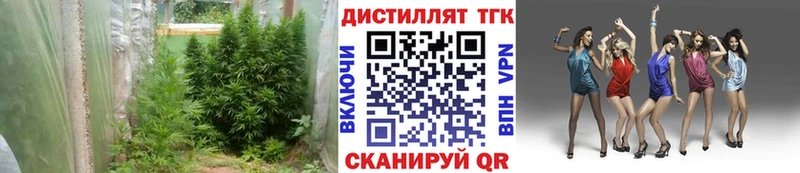 ТГК THC oil  Алатырь 