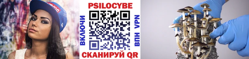 Псилоцибиновые грибы прущие грибы  Алатырь 
