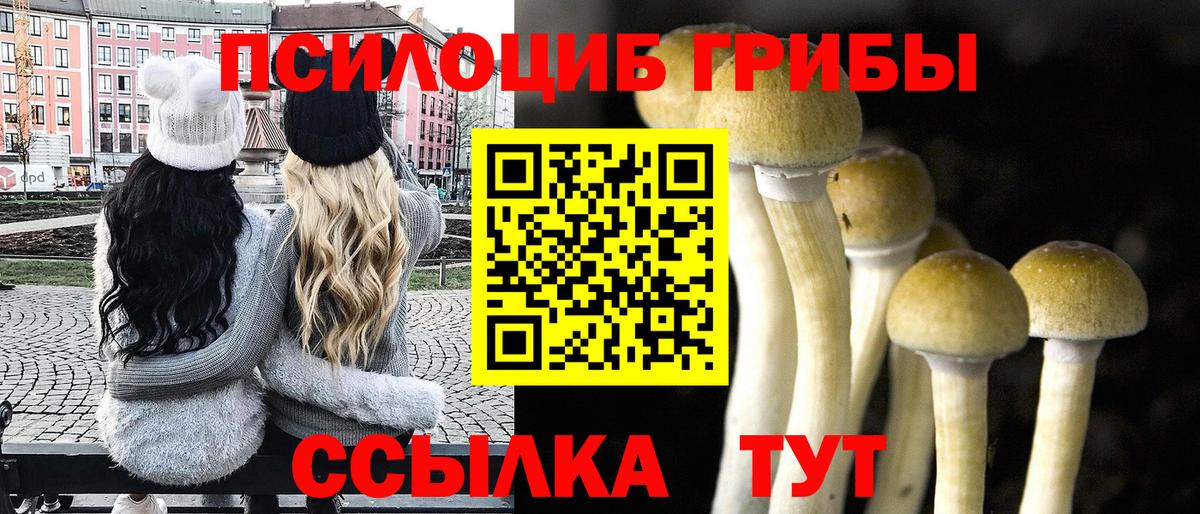 магазин продажи   Псилоцибиновые грибы мицелий  Вход с VPN  Алатырь  Псилоцибиновые грибы GOLDEN TEACHER 