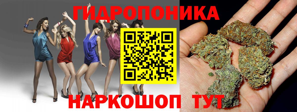 Каннабис индика  Каннабис SATIVA & INDICA  Алатырь  Вход с VPN  МАРИХУАНА Ganja 